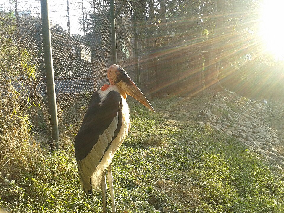Assam State Zoo cum Botanical Garden in Guwahati Assam