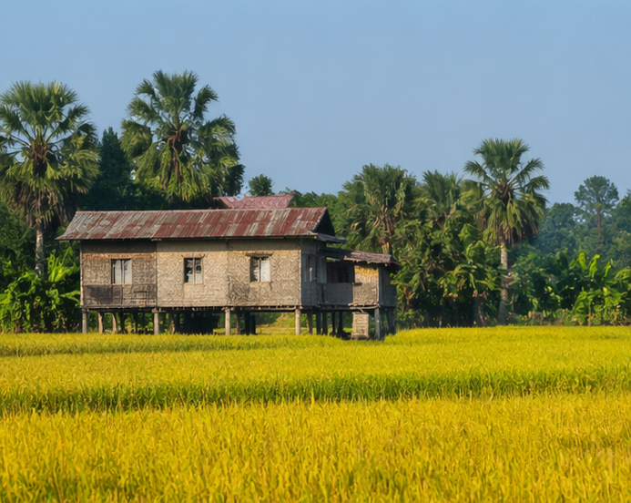 Traditional Assamese homestay with bamboo architecture and village setting